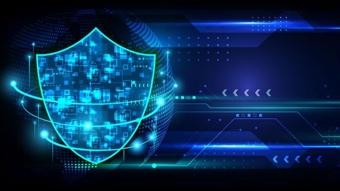 API Security: Programmability Is Required