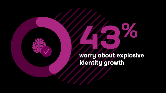 43% worry about explosive identity growth