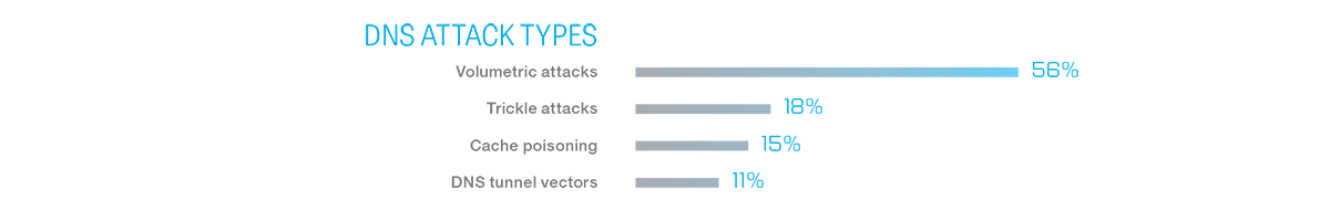 Figure 6: DNS attack types and the risk to the network.