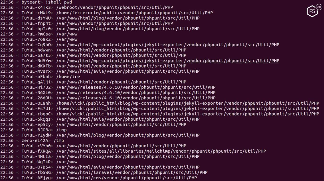 Screenshot of infected servers responding to a “pwd” shell command