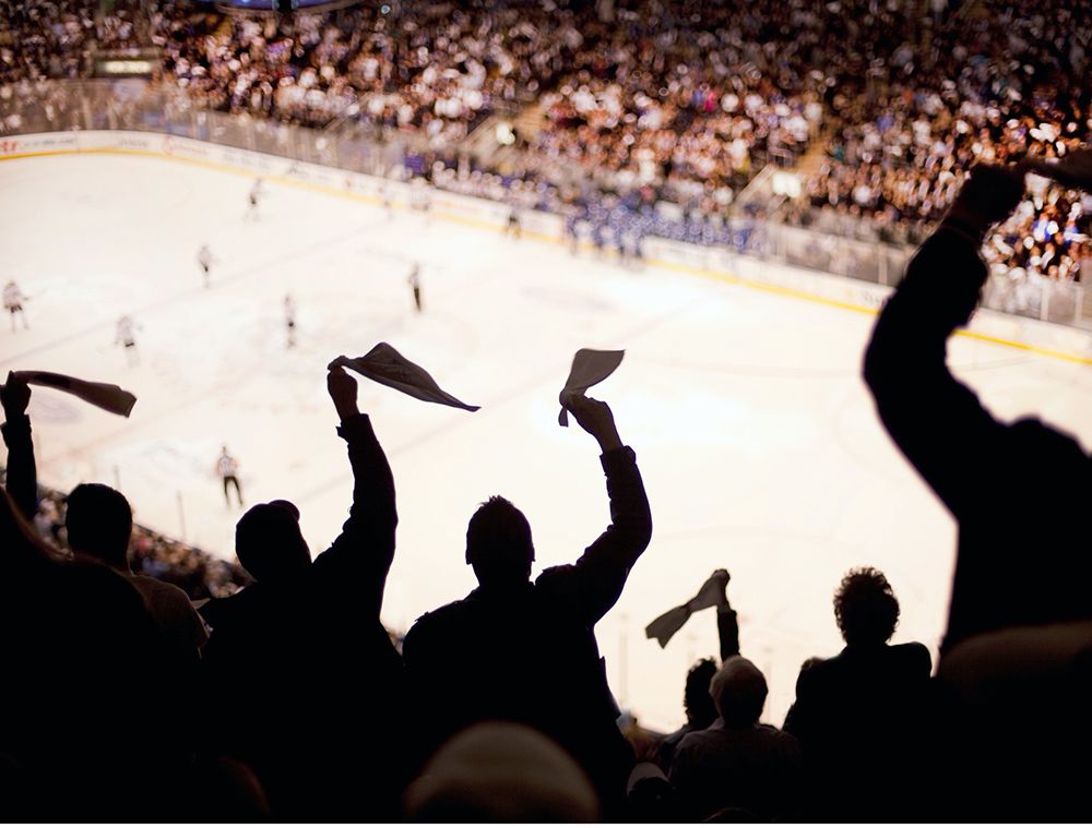 People cheering at a hockey game