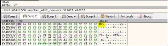 Figure 4. Screen capture of the unpacked Panda malware