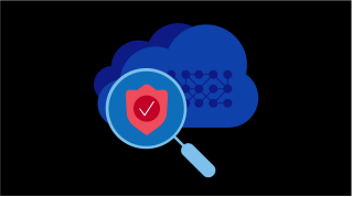 Protegiendo los ecosistemas de las aplicaciones