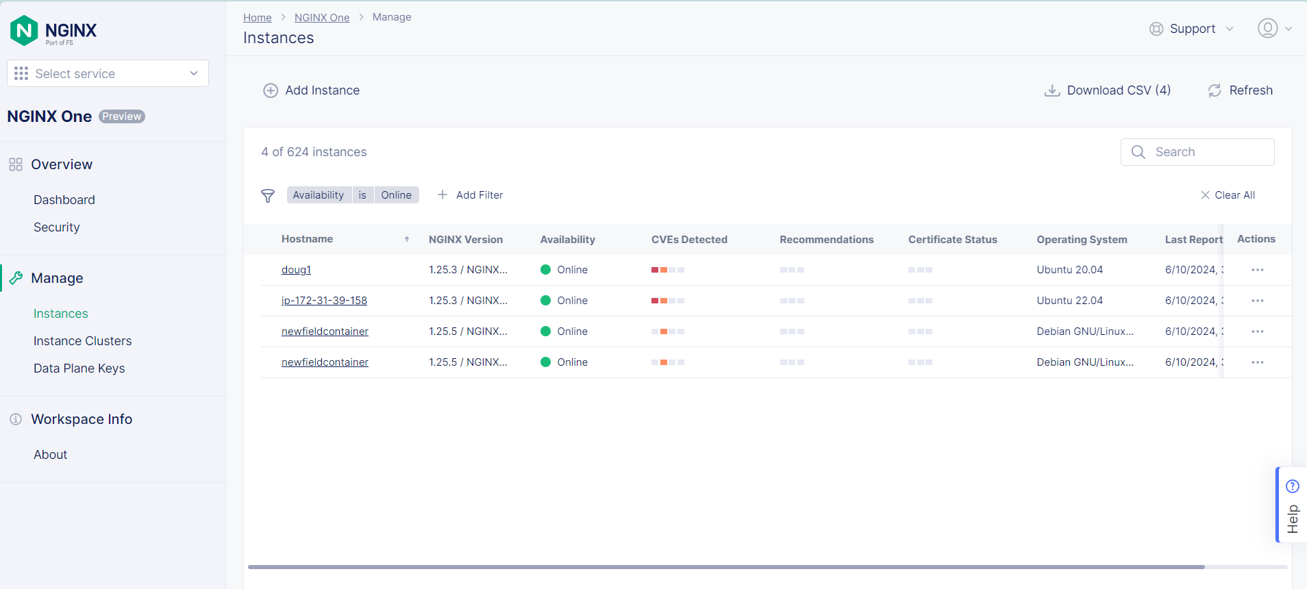 NGINX One instances manager