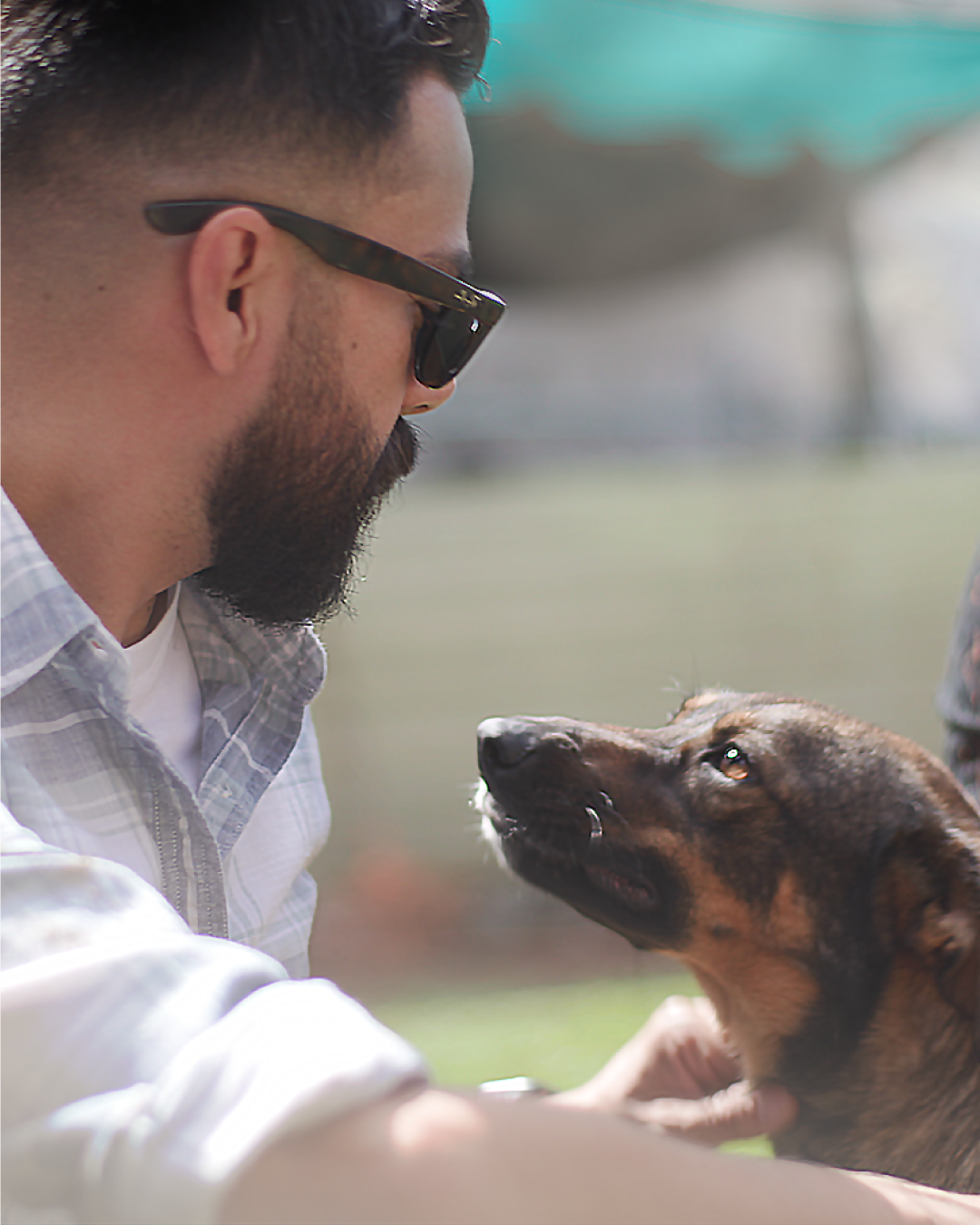 A legal coordinator at F5, Edgar Ramos volunteers with stray dogs with “no voice but a huge heart.” A legal coordinator at F5, Edgar Ramos volunteers with stray dogs with “no voice but a huge heart.”