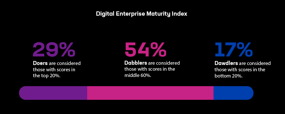 Source: F5 Digital Enterprise Maturity Index 2024
