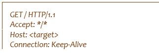 Figure 2: Straightforward “GET” attack - perlb0t script