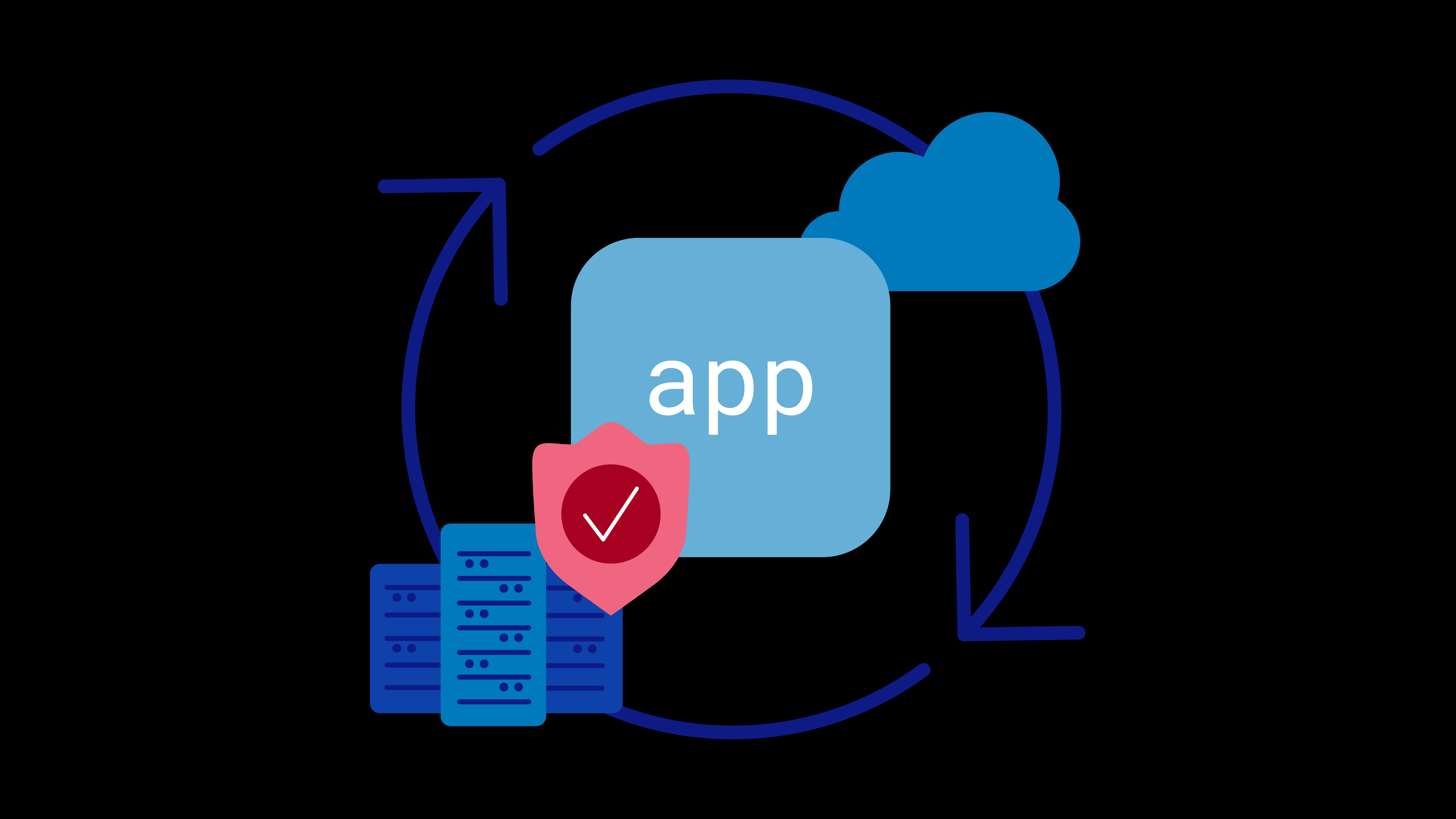 Application Security Overview