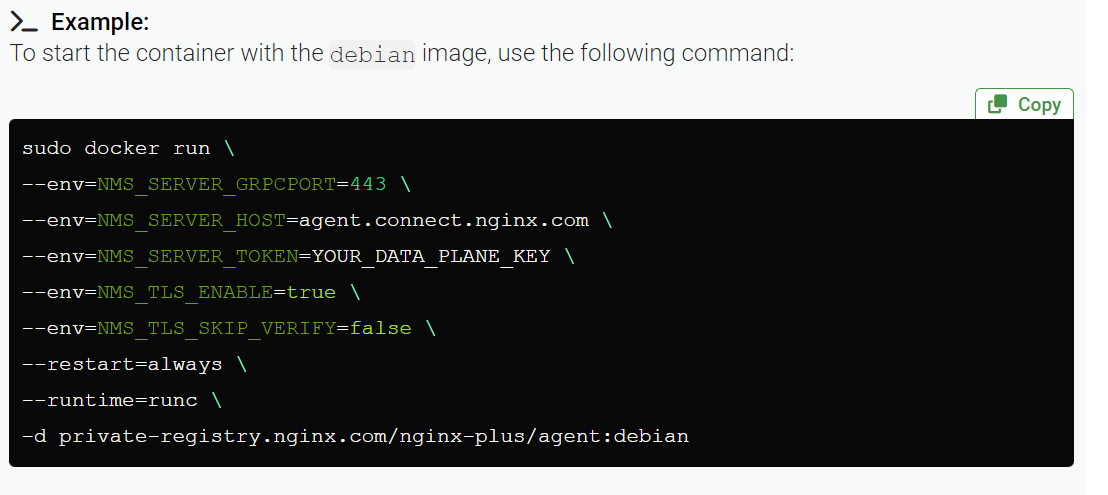 NGINX One example