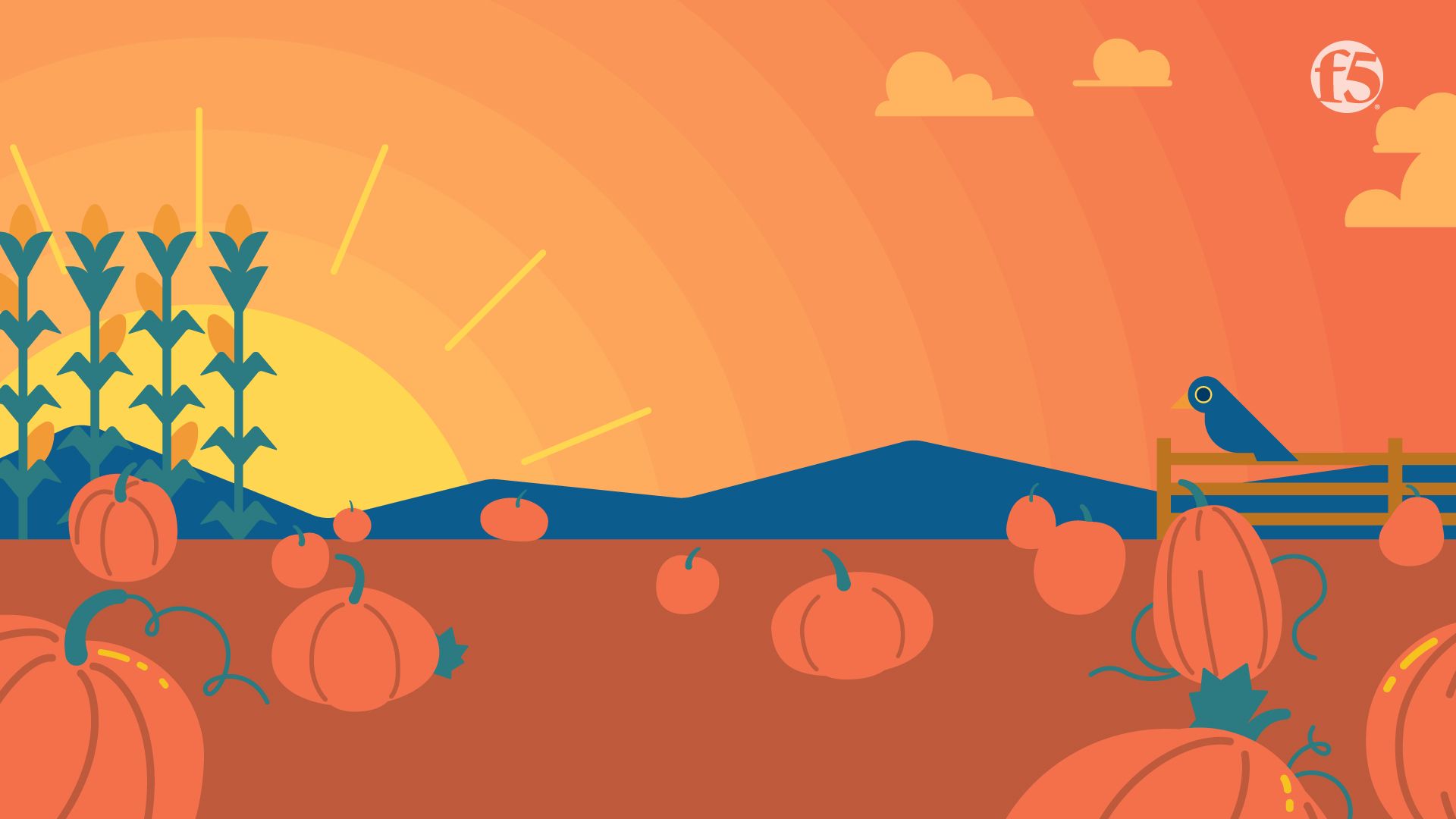 pumpkin patch virtual background