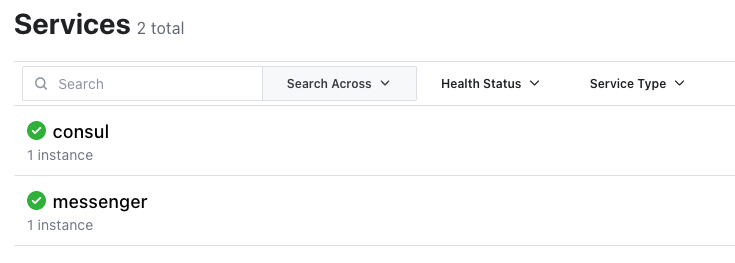 Consul UI Services tab with one instance each of consul and messenger services
