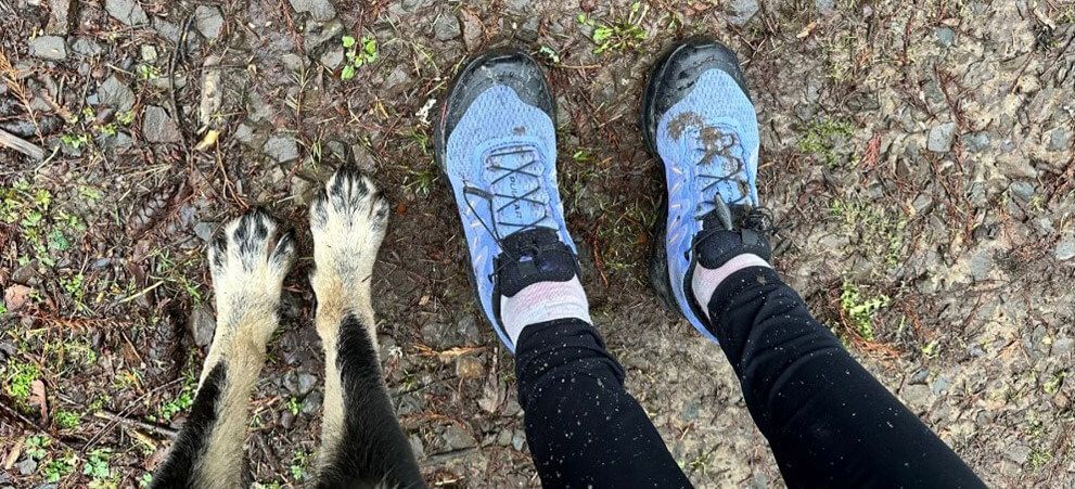 pair of human feet and pair of dog feet