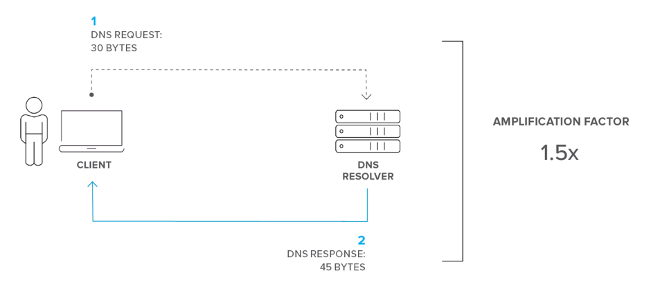 Figure 1. Standard DNS requests typically return relatively small DNS responses